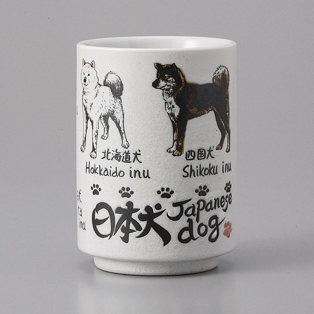 画像無し